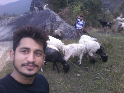 with sheep in Naini